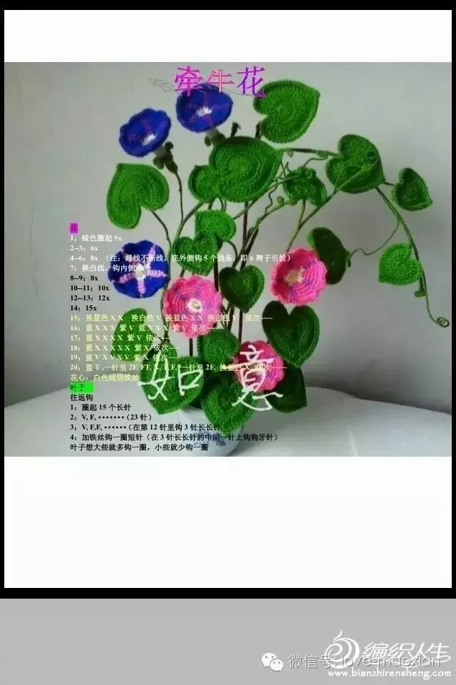 毛线编织花卉图解教程教钩牵牛花的钩法