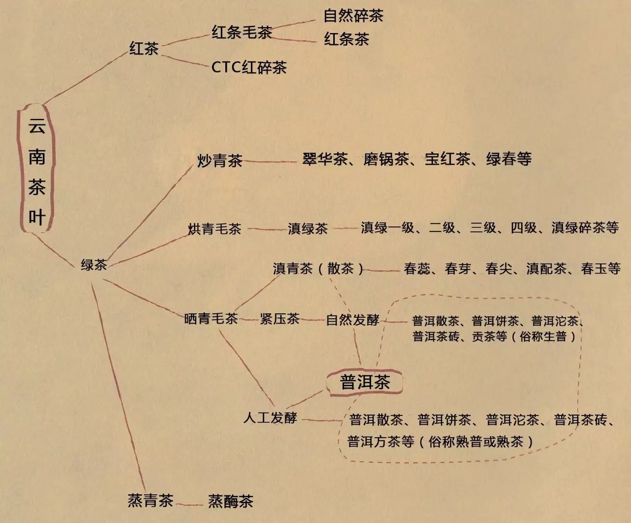 精读丨普洱茶辨伪