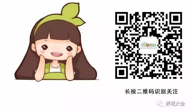 公众号对话模式下调戏我