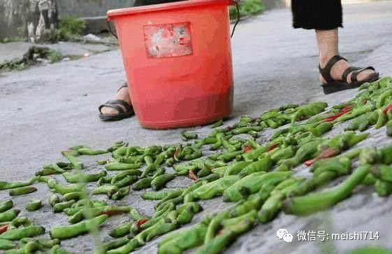 青辣椒炒肉丝_青辣椒_青辣椒酱牛肉的做法