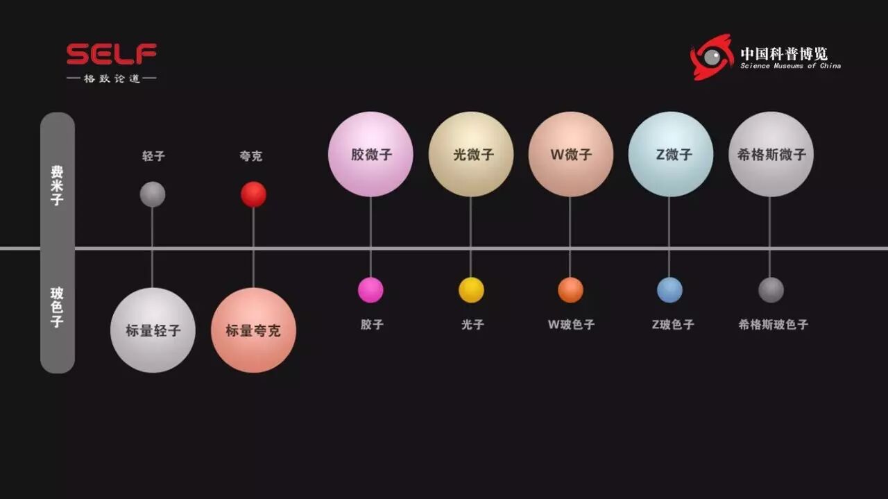 ǻüʱ䣬֪Լɷӳʲô