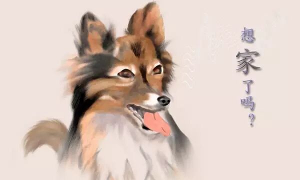 美帝还有个“北平”？