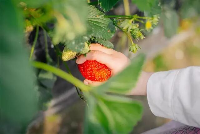 徐州这个地方一天玩个来回刚刚好！还有漂流、采摘、骑马和龙虾节在向你招手