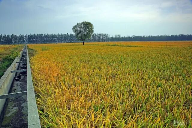 徐州这个地方一天玩个来回刚刚好！还有漂流、采摘、骑马和龙虾节在向你招手