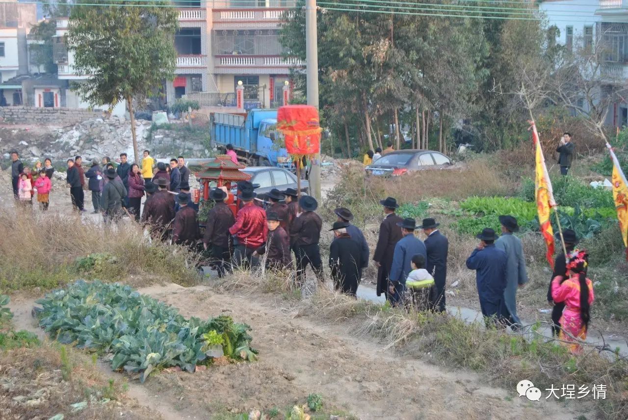 大埕镇上东村—日月同辉,抬老爷冲上"双头墩"