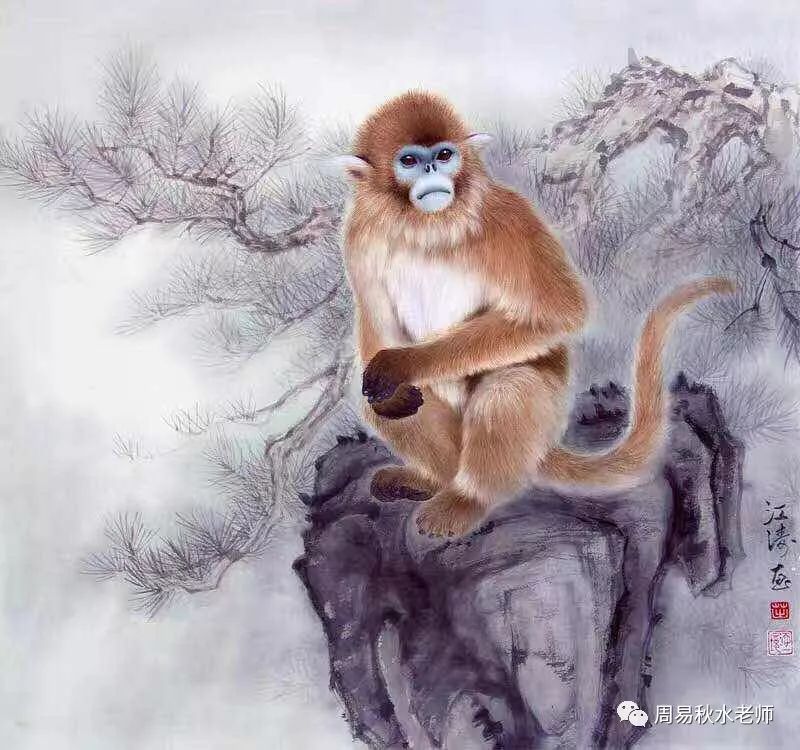 秋水:属猴8月份整体运势