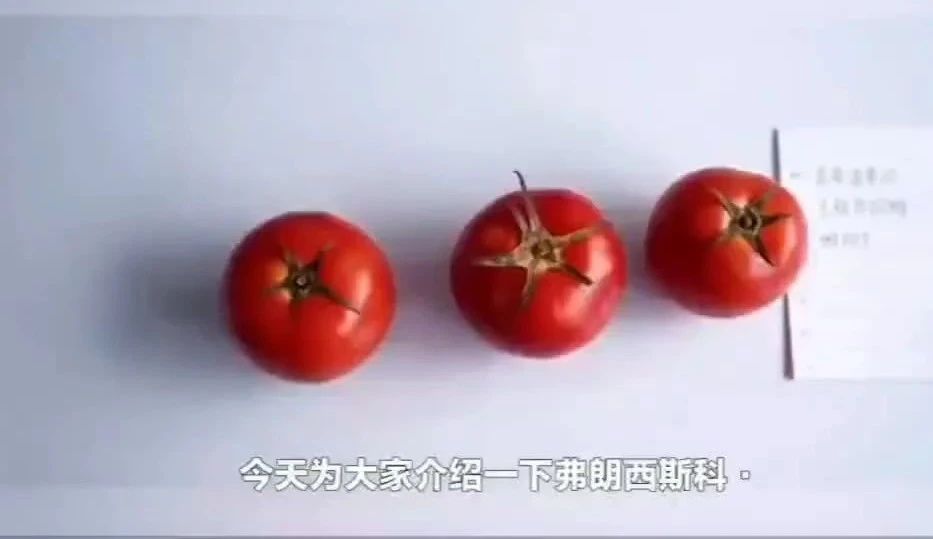 番茄时间管理法一年级