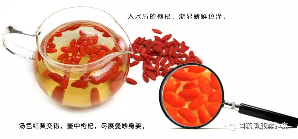 明目养身降三高 让枸杞来帮忙