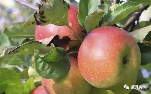 一周减肥食谱_减肥食谱周二的吃法_减肥食谱周一至周日