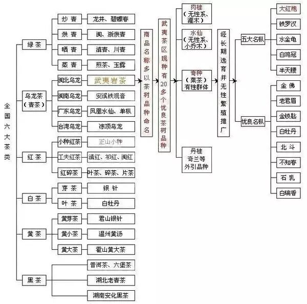 不会形容乌龙茶？这些词说出口，听着高水平！（值得收藏）