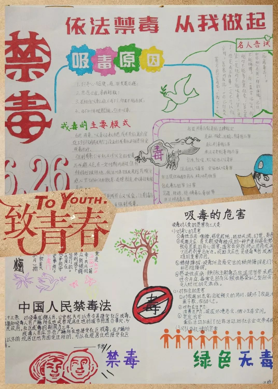 遂州外国语小学开展禁毒教育系列活动之绘制禁毒手抄报