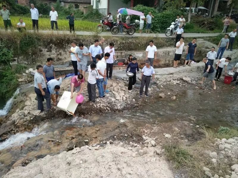 鸡冠山乡流源村80多名村民自发集资近3000多元购买鱼苗,在流源村秋江