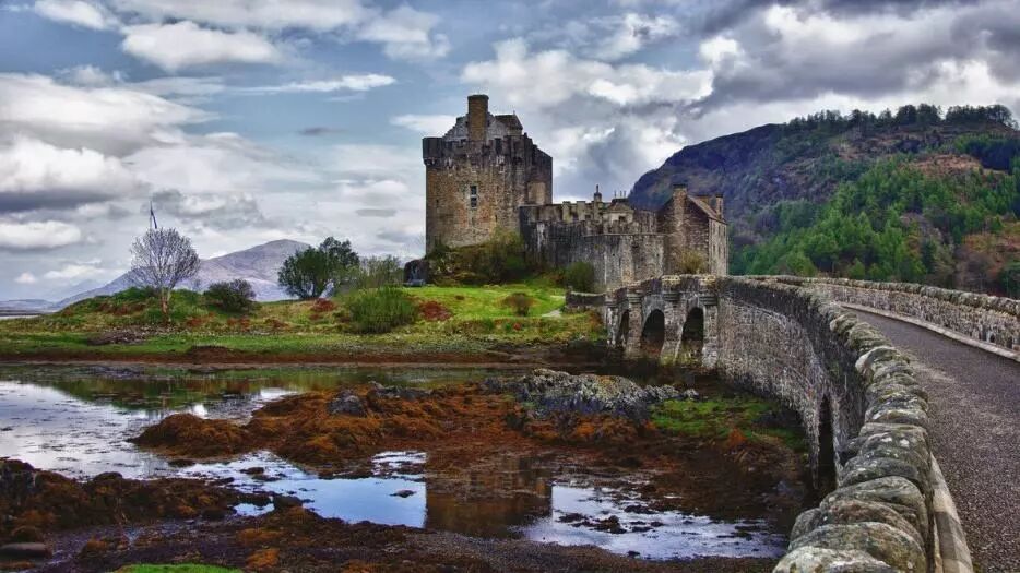 百年孤独下载小说_百年孤独下载epub_百年孤独下载