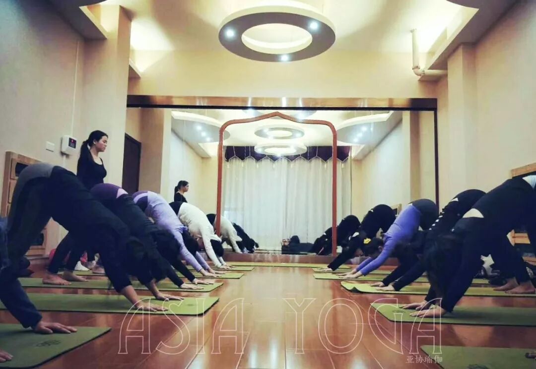 【瑜伽教练培训全日制班】12月3日亚协瑜伽初中高300小时瑜伽教练精进班于宝安店开班！