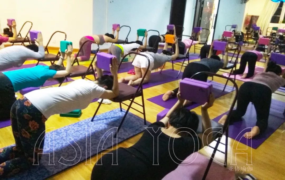 【哈他全日制】10月29日亚协瑜伽初中高300小时导师精进班于宝安店开班