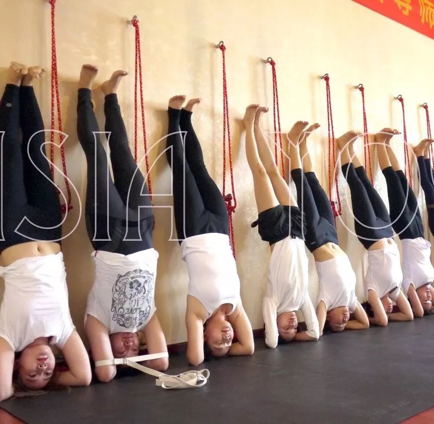 【哈他全日制】10月29日亚协瑜伽初中高300小时导师精进班于宝安店开班