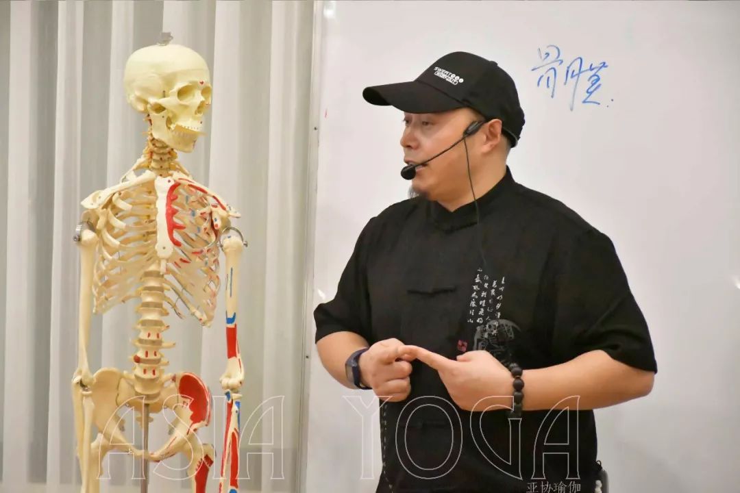 【人体功能解剖学】12月23日开班！理论结合实际才能掌握它！