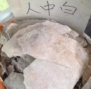 这些中药长得丑，名字却迷死人？