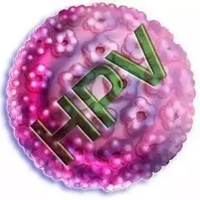 徐连泉|妻子宫颈癌，丈夫阴茎癌，为什么？