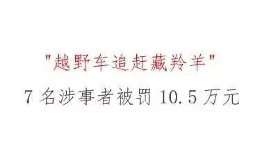 2017年10月9日北京青年报导读 “越野车追赶藏羚羊”7名涉事者被罚10.5万元