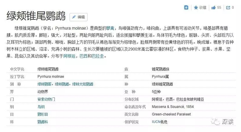 △通过百度百科，先认识一下这种鹦鹉的习性