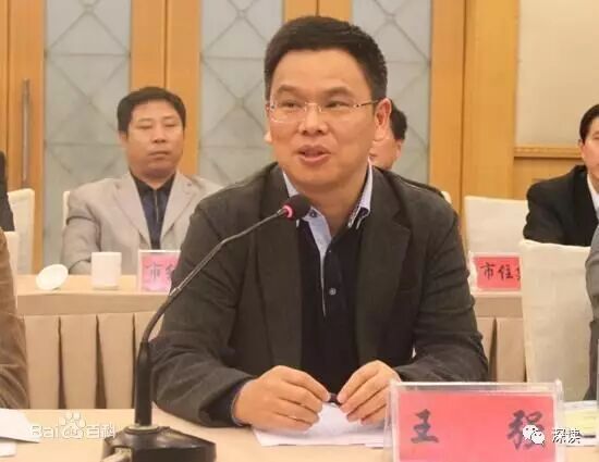 市长提名人选期间遭举报落马
