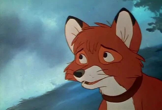 تۈلكە ۋە ئوۋ ئىتى