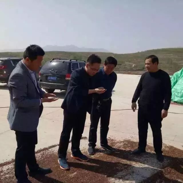 种卖都不愁,孟寺特派员引进种植新"成员"