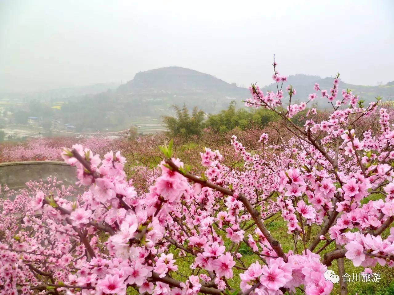 "美丽乡愁·休闲乡村"合川首届最美乡村旅游点评选活动经过各镇街申报