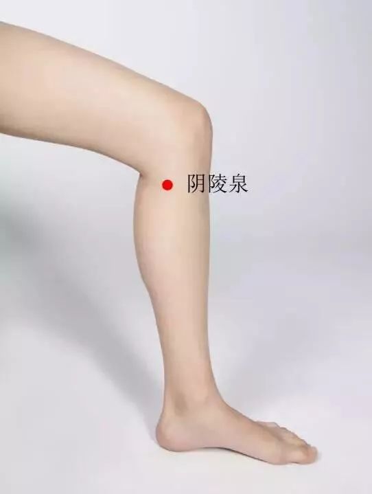 艾灸让你可胖可瘦