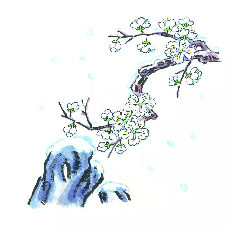 宝宝学诗词 《梅花》