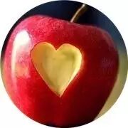 张杰“后援会会长”曝谢娜怀孕坐实!竟还曝光受孕细节,粉丝:不背锅