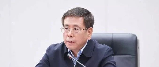王凯当选河南省长