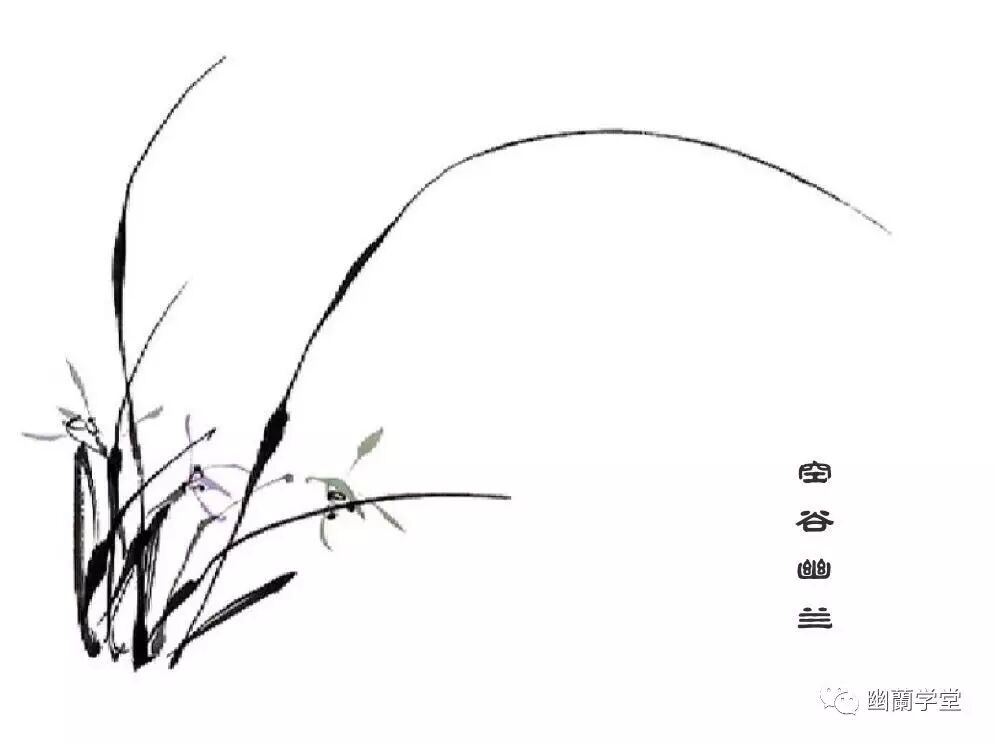 公益讲堂｜盆景艺术即将开启 图片