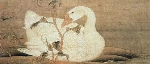 ڶ±죿һֻͼƬ