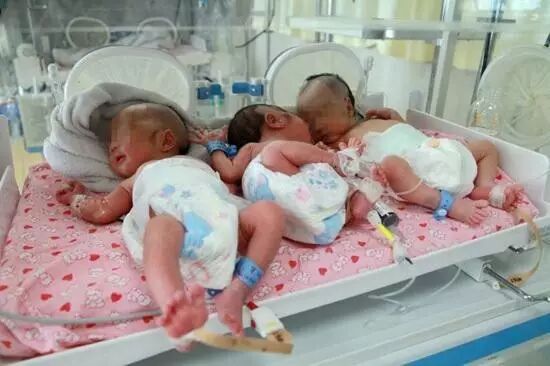 政府号召党团员积极生二胎!这次的网红是宜昌……-怀孕期