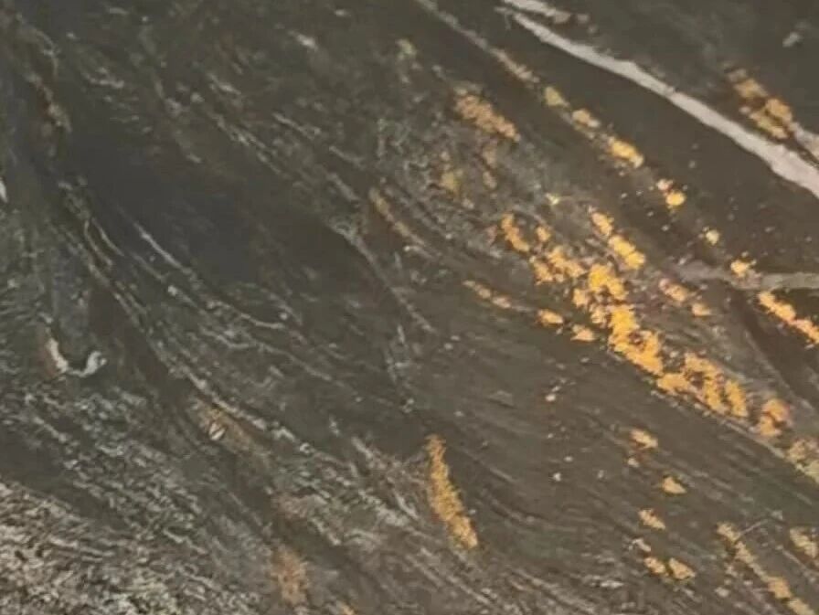 wxv_4476161496347197444