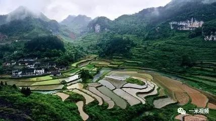 赵本山如果收她当徒弟,估计比宋小宝还红!