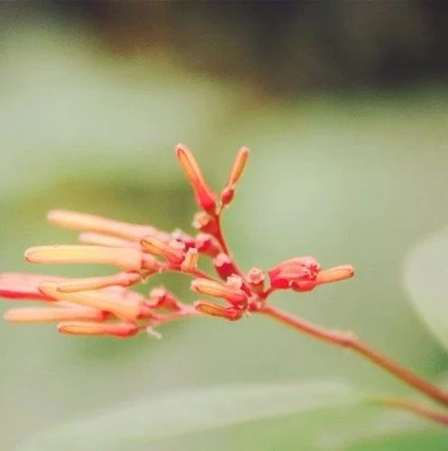 独角戏 许茹芸 简直要听沦陷了