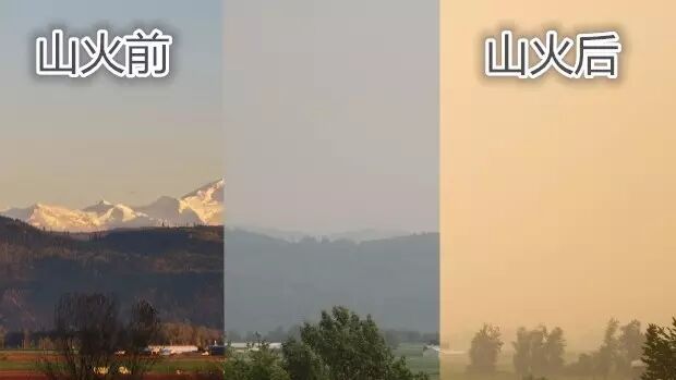 酷热和山火让温哥华空气质量差到极点！专家却建议，外出不要带口罩！为啥？... ... ...