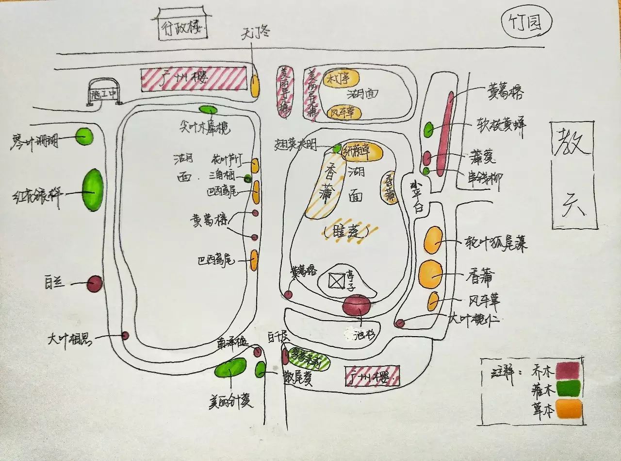 湿地公园植物分布图