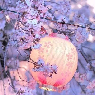 张敬轩《樱花树下》现场版,这唱功真的无可挑剔!