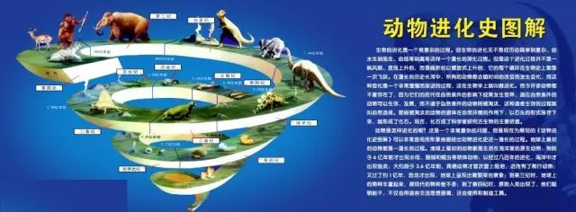 世界顶级生物塑化专家