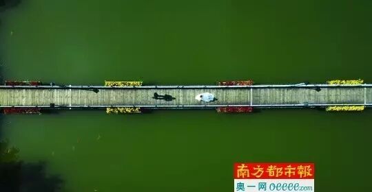 大学生性调查:一成女生曾怀孕,男生遭性骚扰比例高于女生 数读早餐-怀孕期