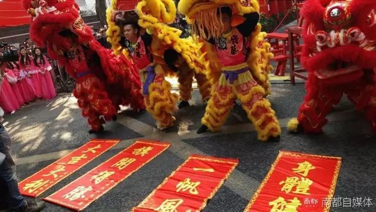 广州迎春花市_广州从化区迎春花市_广州有迎春花吗