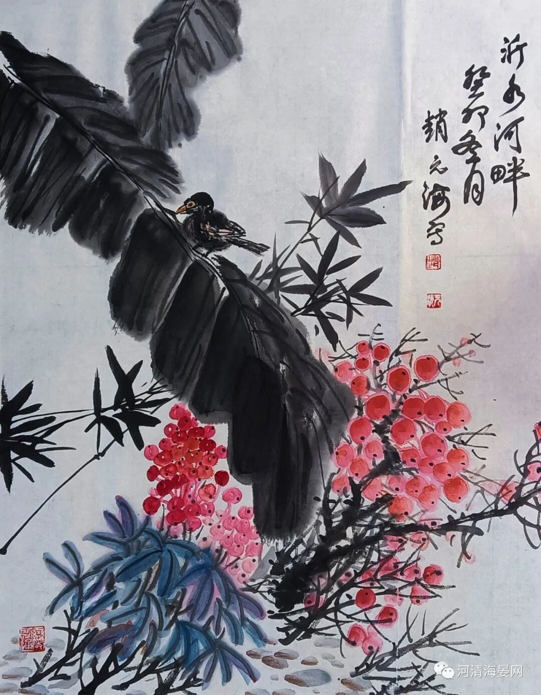 图片