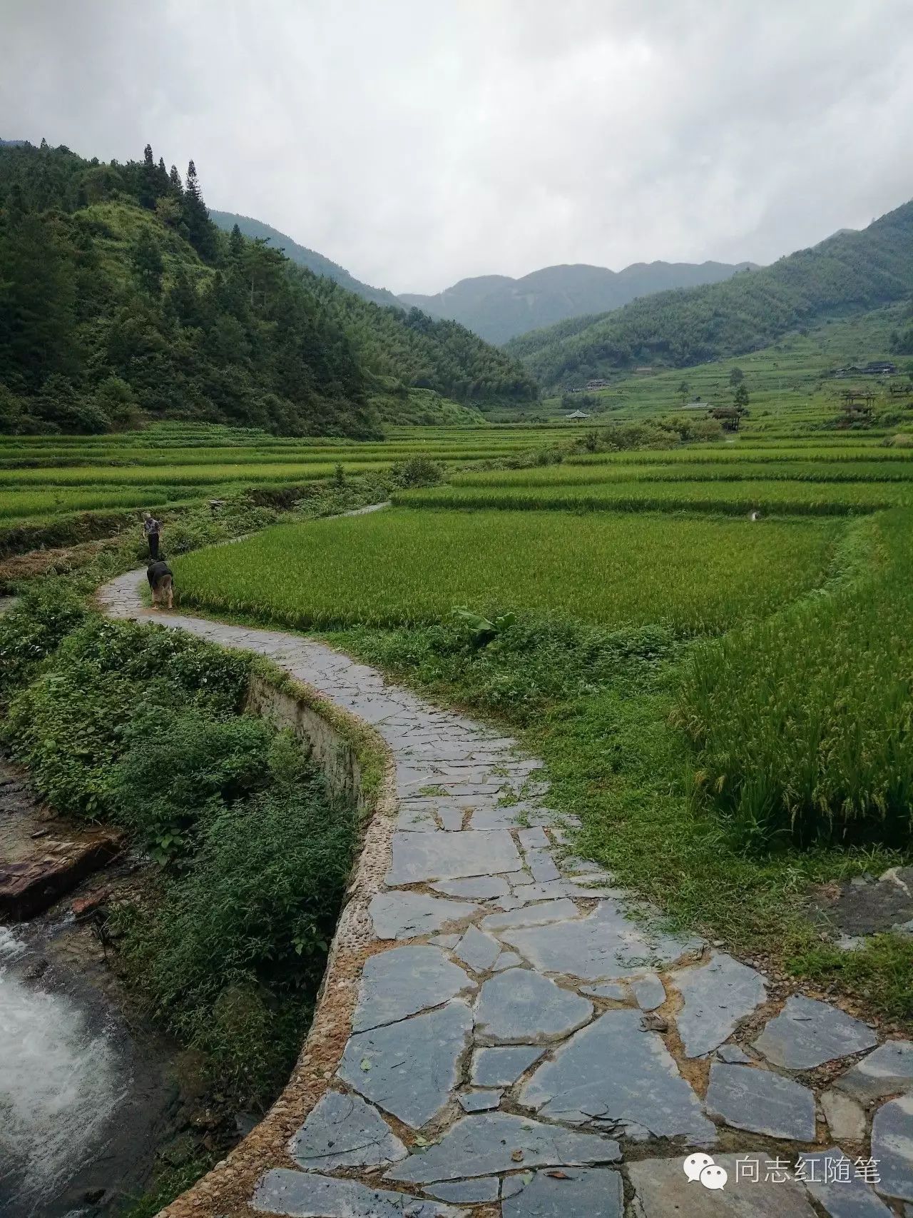 "三山两水一片田"的山水田园格局.