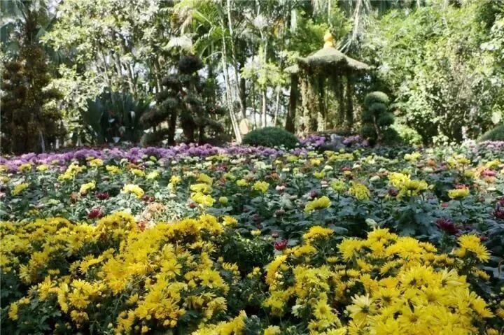 福州馬上要改名字了？在福州的人，都要樂上天了吧?。?）