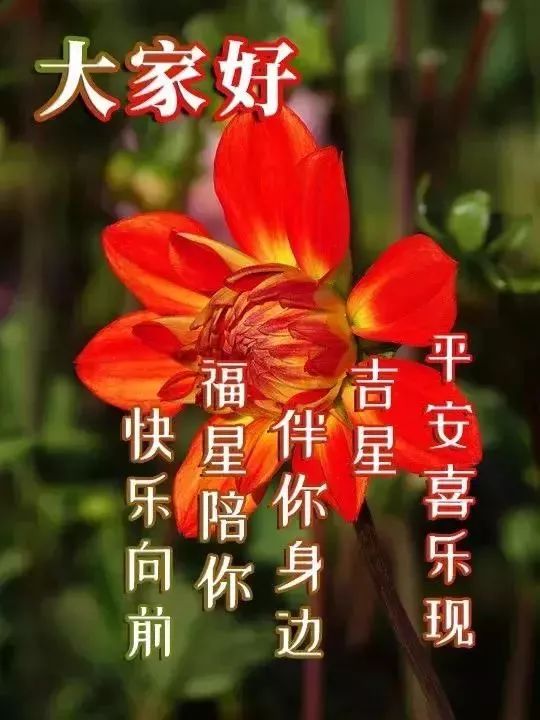 最美丽秋冬早上好动态表情图片周末问候早安的温馨句子和图片早安图片