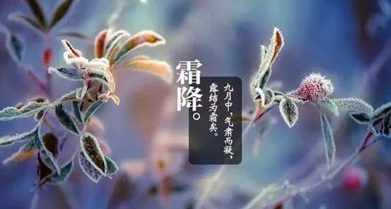 霜降节气||秋露凝霜 保暖为先